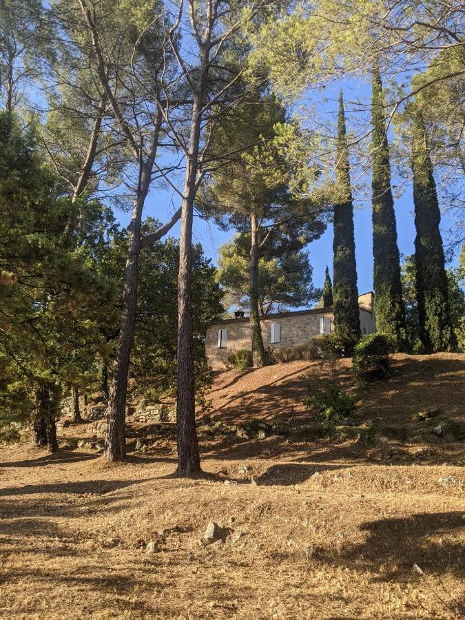 Le Clos sous le chemin Seillans Extérieur photo